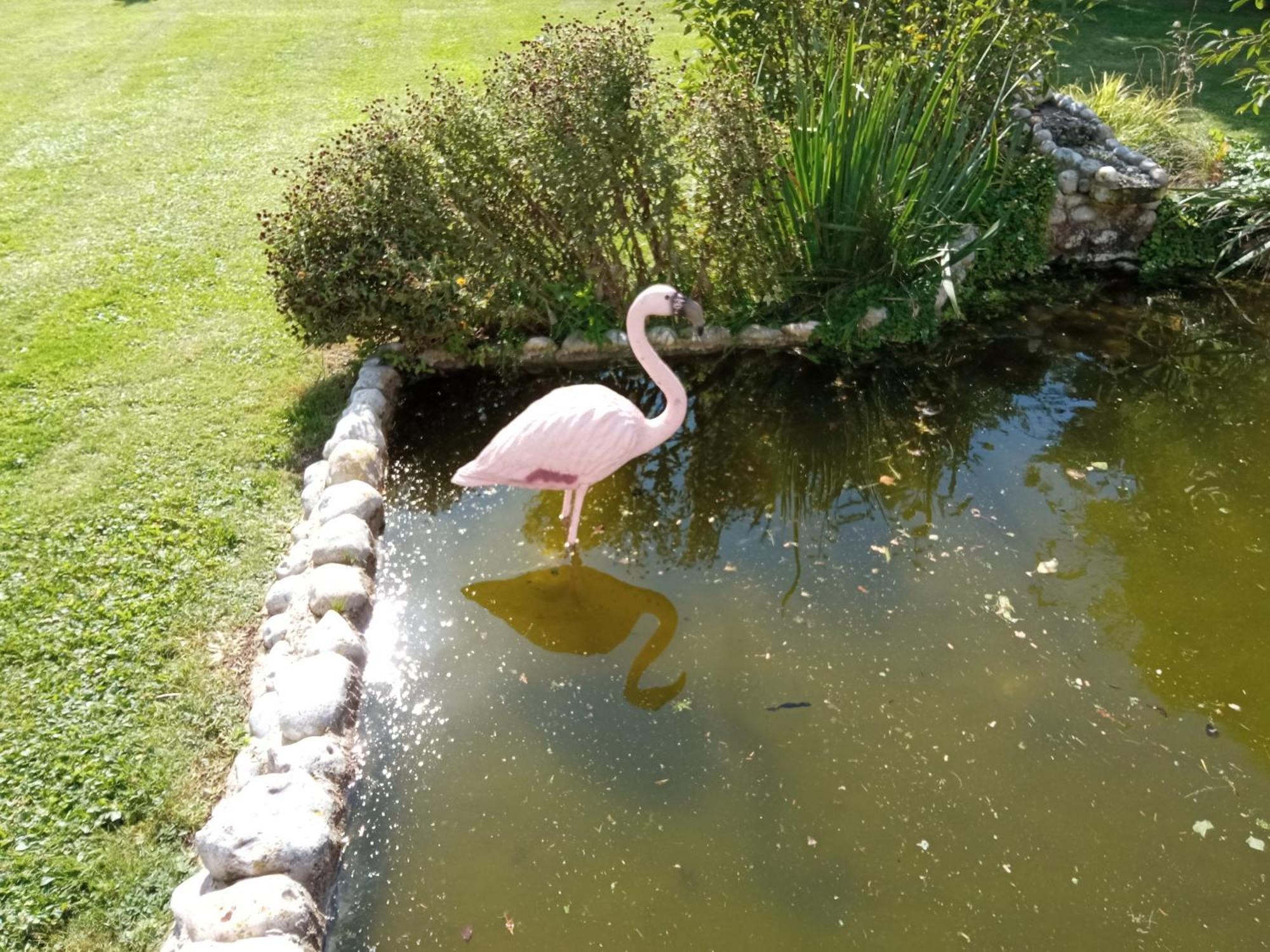 Gite Repos Et Tranquillite G Cayeux-sur-Mer Zewnętrze zdjęcie