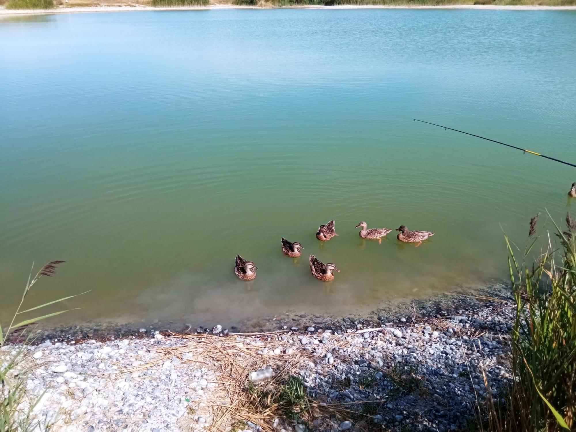 Gite Repos Et Tranquillite G Cayeux-sur-Mer Zewnętrze zdjęcie