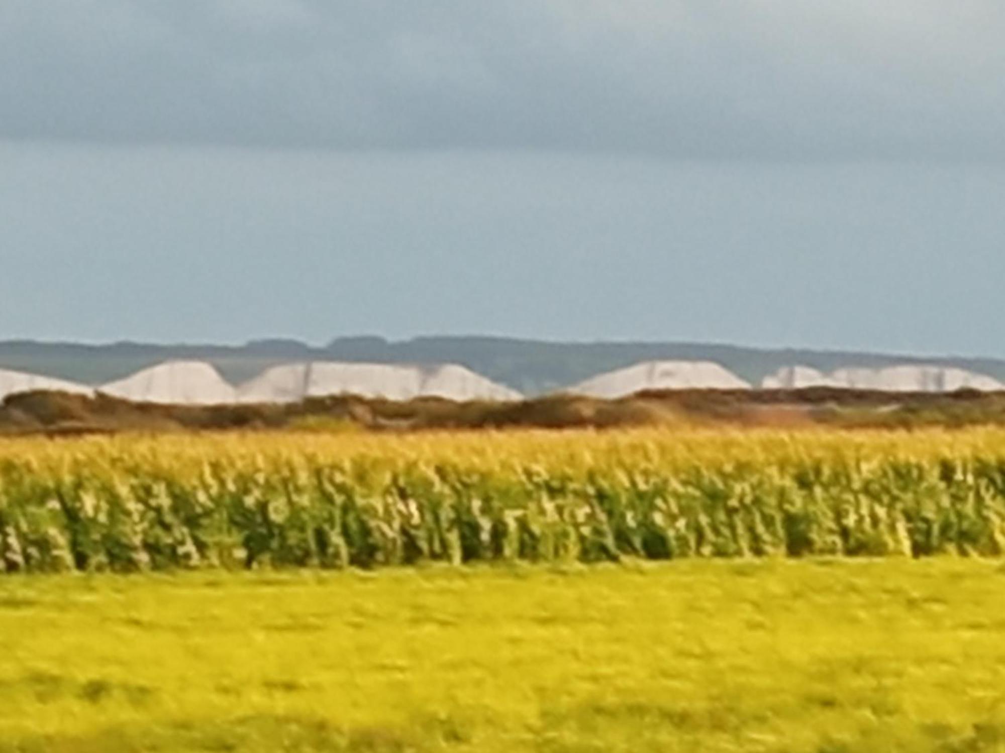 Gite Repos Et Tranquillite G Cayeux-sur-Mer Zewnętrze zdjęcie