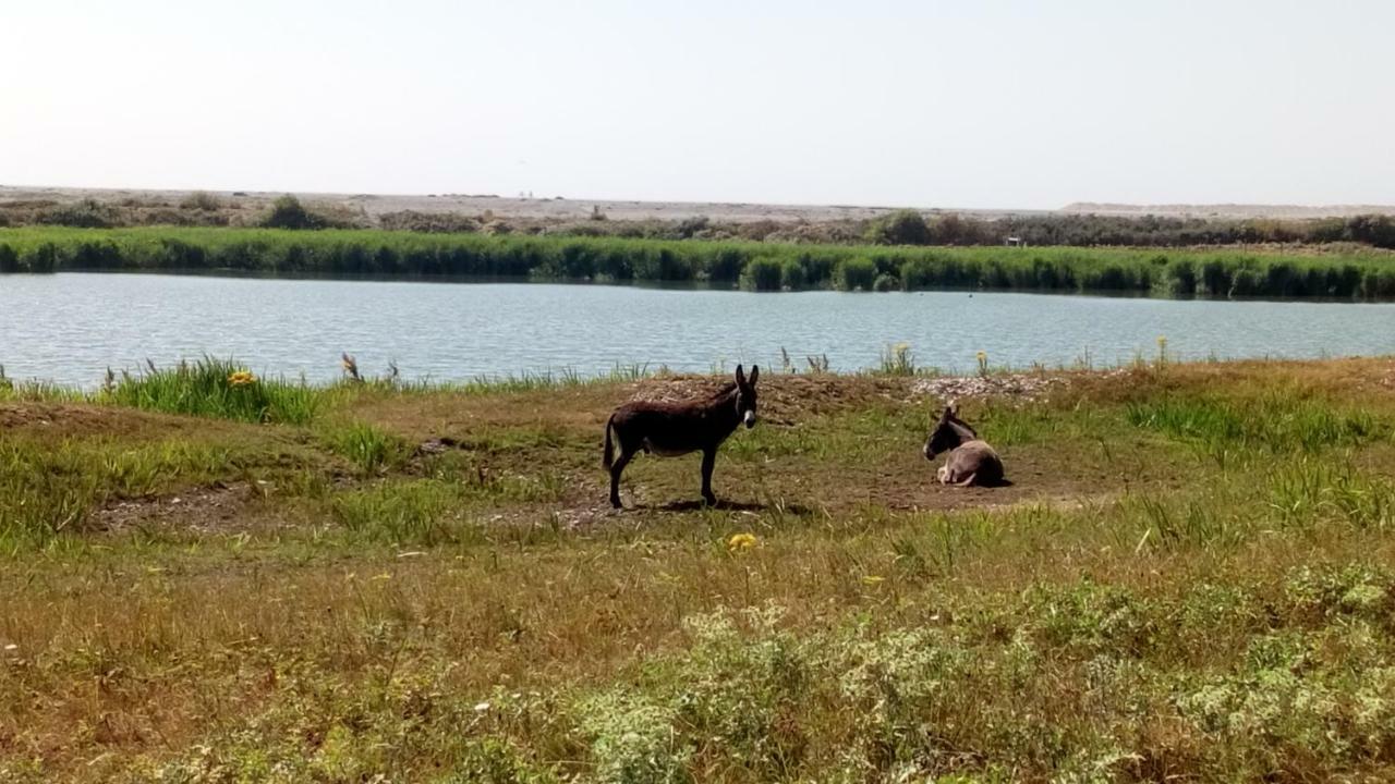 Gite Repos Et Tranquillite G Cayeux-sur-Mer Zewnętrze zdjęcie